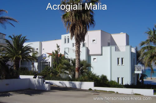 Acrogiali Malia Kreta, appartementen. Aan de beachroad tussen Malia en Stalis.
