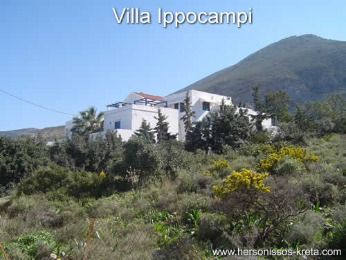 Villa Ippocampi in Koutouloufari. 